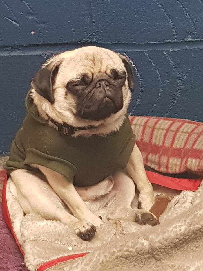 �������������