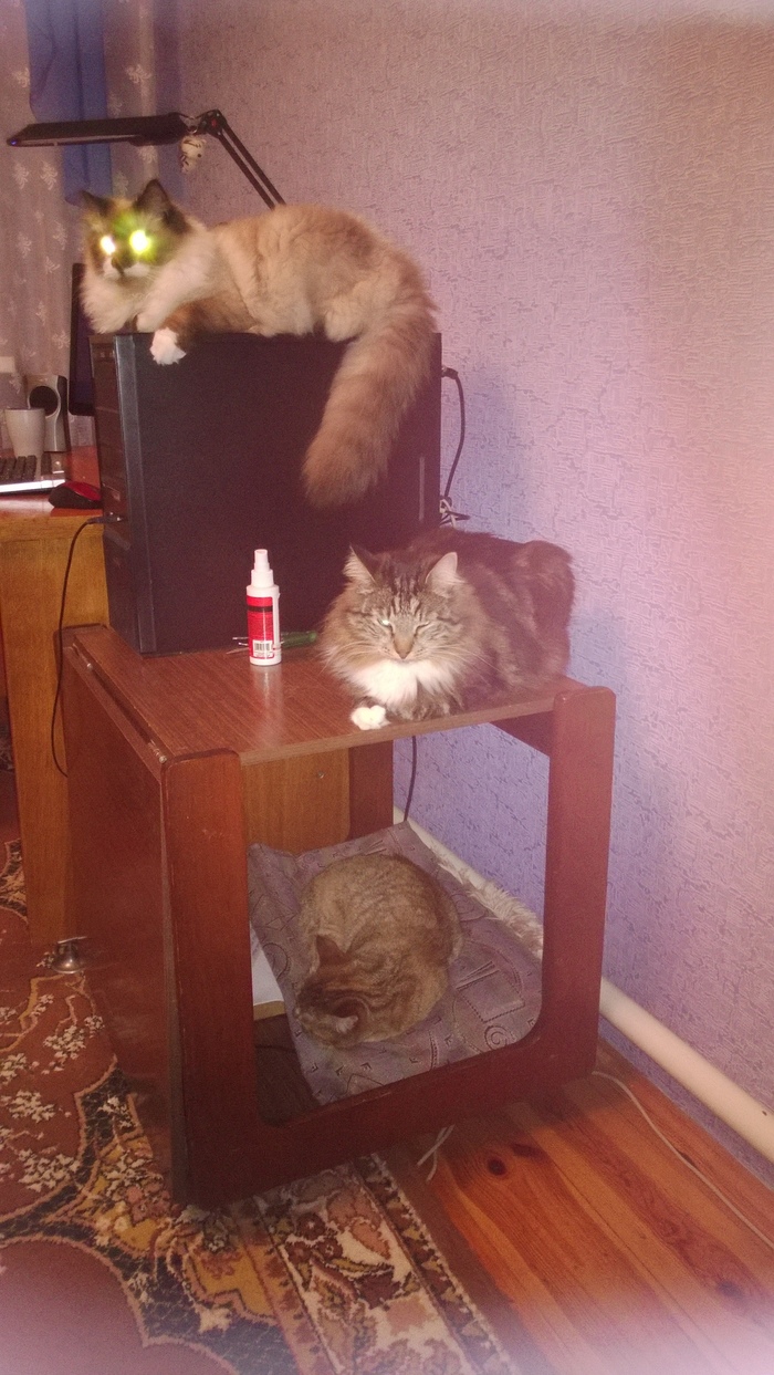 ������� ��������