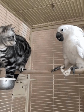 Ты что тут забыл?