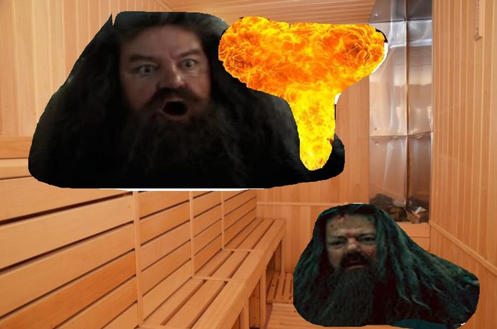 What ended for Hagrid his trip to the bath - My, Harry Potter, Фанфик, Joke, Humor, Story, Fantasy, Creation, Laugh