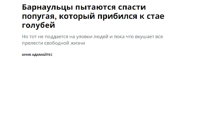 ���� �����