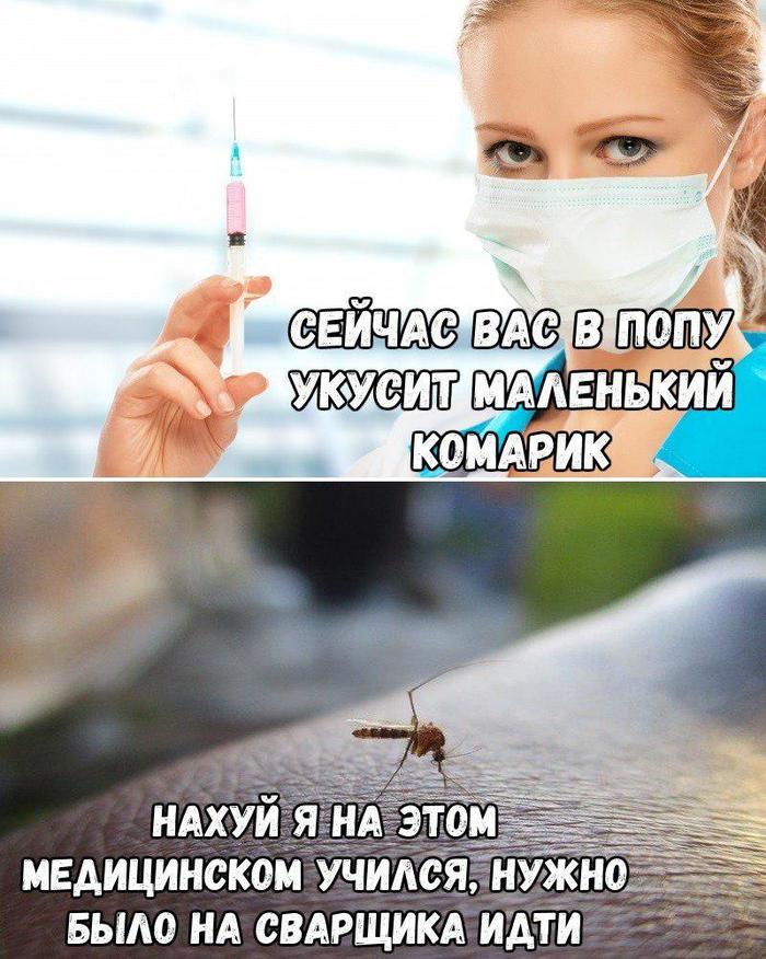 Chose the wrong profession - Mosquitoes, Humor, Picture with text