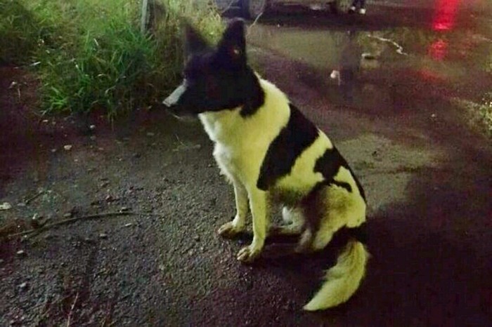 ������� ����� � ������������� � ���� �������: � ����������� ������ �� ����� �������, ��� �� �������.