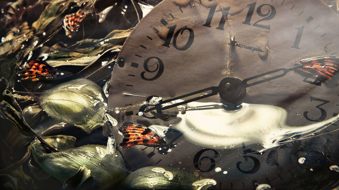 personal swamp - My, The photo, Clock, Still life, Water, Butterfly, Canon