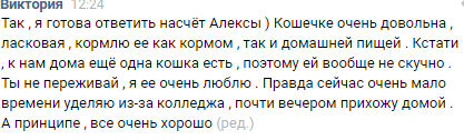 Продолжение истории кошки Алексы %) - Моё, Кот, В добрые руки, Счастье, Длиннопост