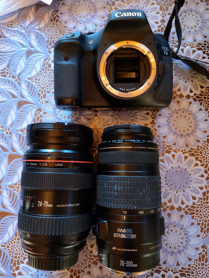 Help with lenses - Photographic equipment, Beginning photographer, Camera, Lens