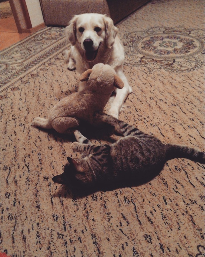 ����� � ��� ��� ����� :)