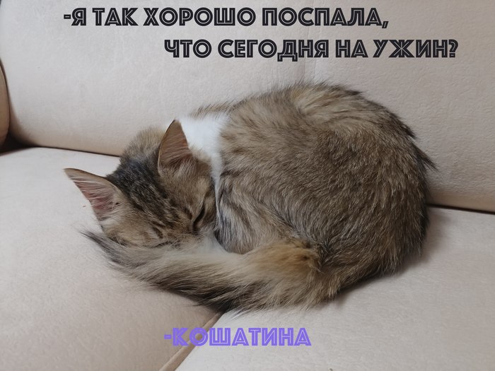    ,    ,   , , , 