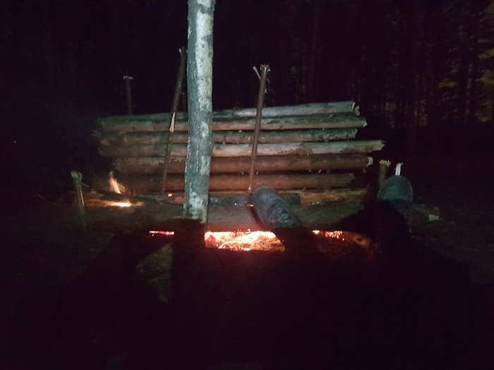 Пикабушное выживание часть 3. Отчёт. Поход, Выживание, Шалаш, Пвд, Природа, Длиннопост