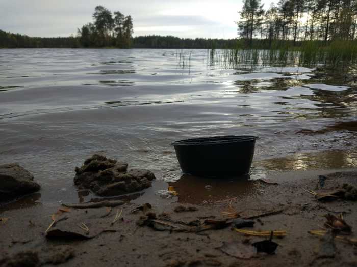 Пикабушное выживание часть 3. Отчёт. Поход, Выживание, Шалаш, Пвд, Природа, Длиннопост