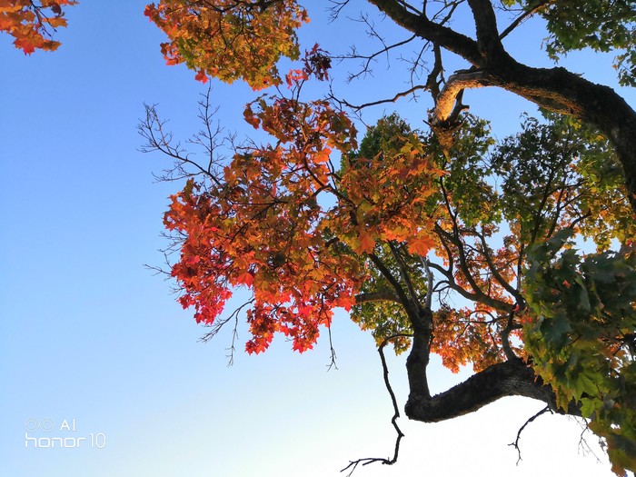 � ��� � �����