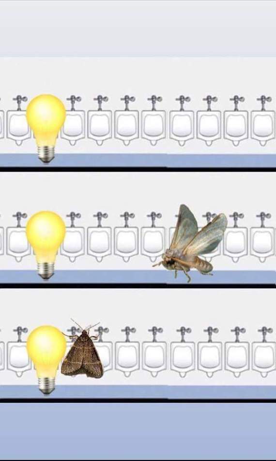 �������� ������