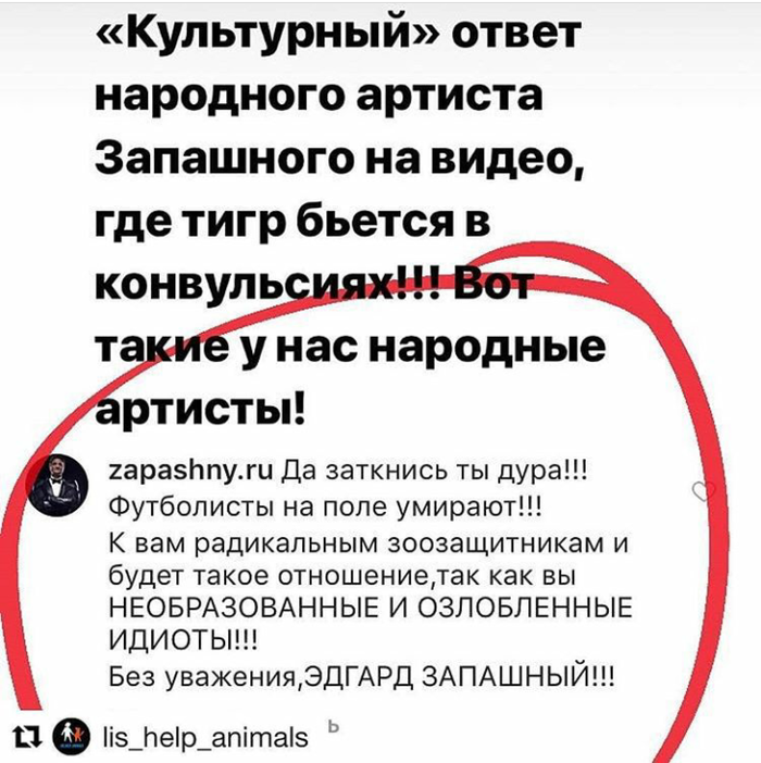 Эдгар Запашный публично оскорбил зоозащитницу из Самары