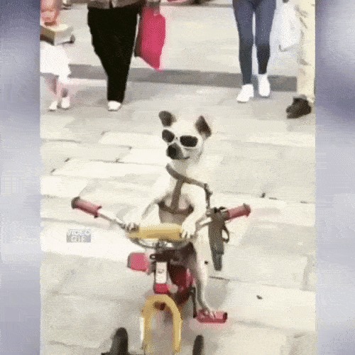  ...    .