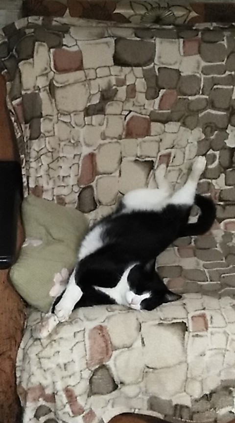 Тиша ноги выше)