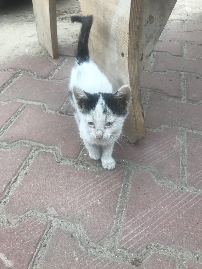 --,     :3 , --, ,  ,  