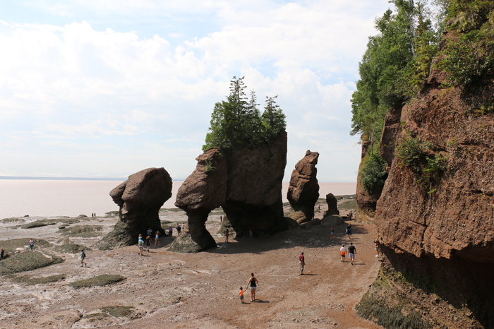 Самые большие приливы и отливы в Мире! - Моё, Hopewell Rocks, Сергей Морозов, Хоупвел Рокс, Приливы и отливы, Самые большие приливы в мире