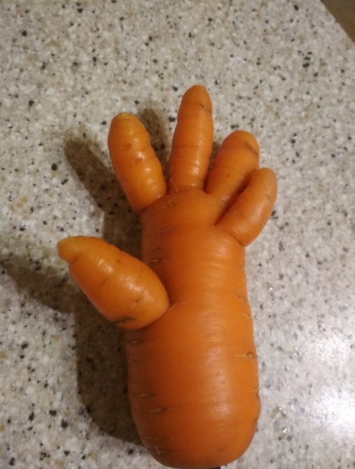 Harvest 2018 - My, Harvest, Carrot, Similarity, Hand