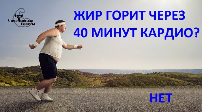 Fat burns after 40 minutes of cardio? (No) - My, Sport, Тренер, Sports Tips, Training program, Slimming, Diet, Fat, Nutrition, Longpost