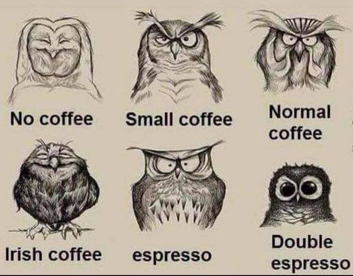 ��� ����� ����������