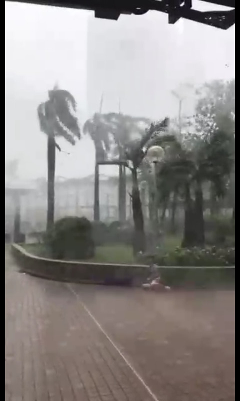 Typhoon season in China - China, Typhoon, Weather, Element, Wind, Rain