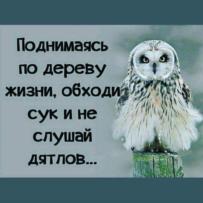    , ,   