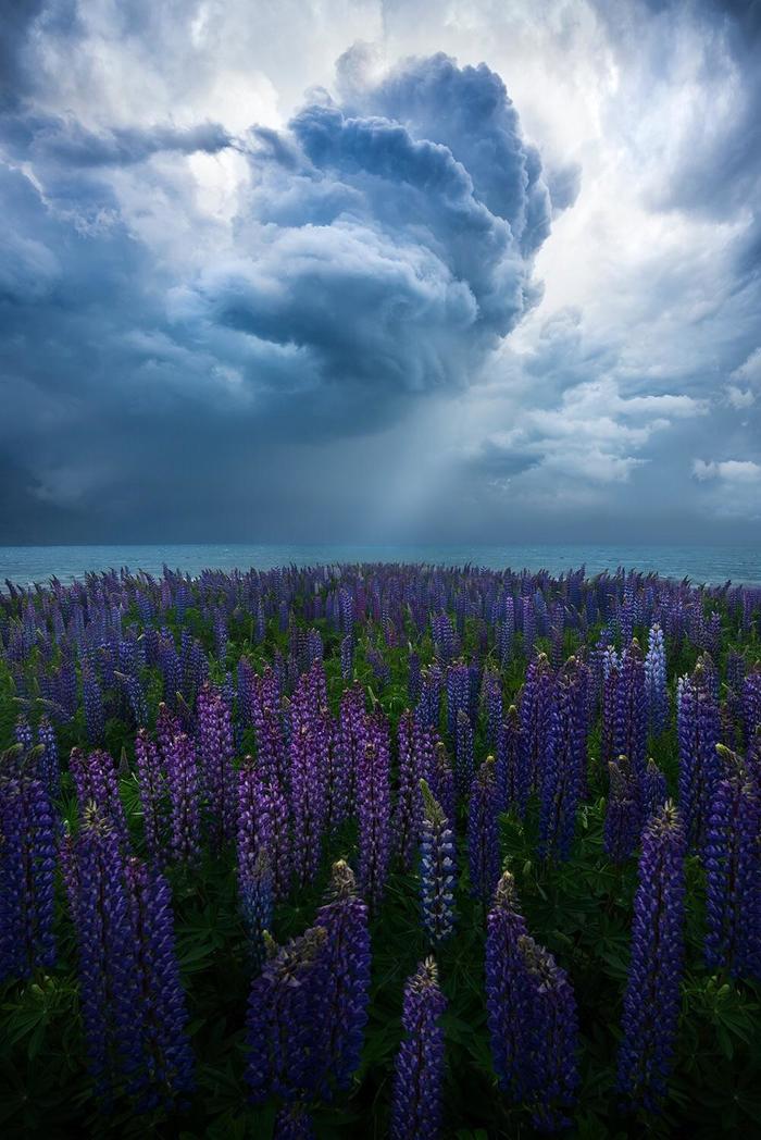 Coming Storm (New Zealand) - Nature, beauty of nature