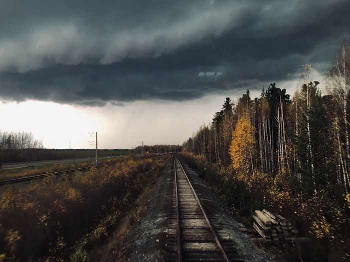 ������ ����. ���� ����������. ���.