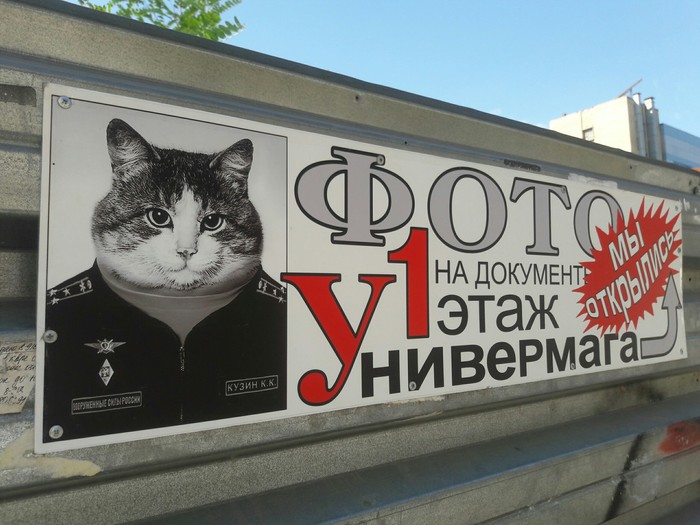 Colonel Kuzya - cat, The gods of marketing, Military, Novocherkassk