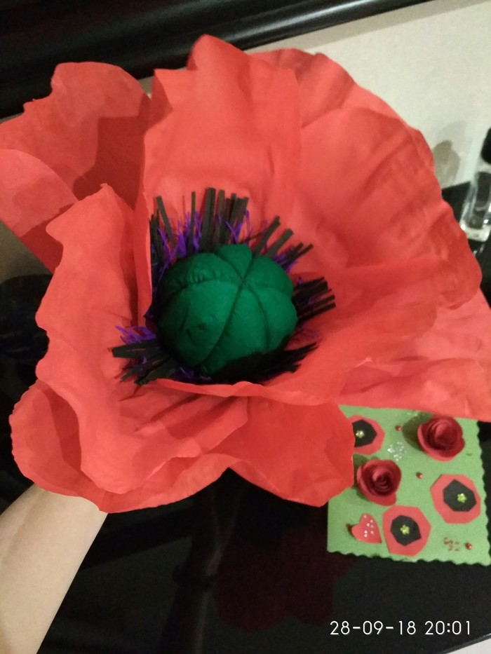 Large flower as a gift to sisters - My, Flowers, Red Poppy, Presents, Postcard, Longpost