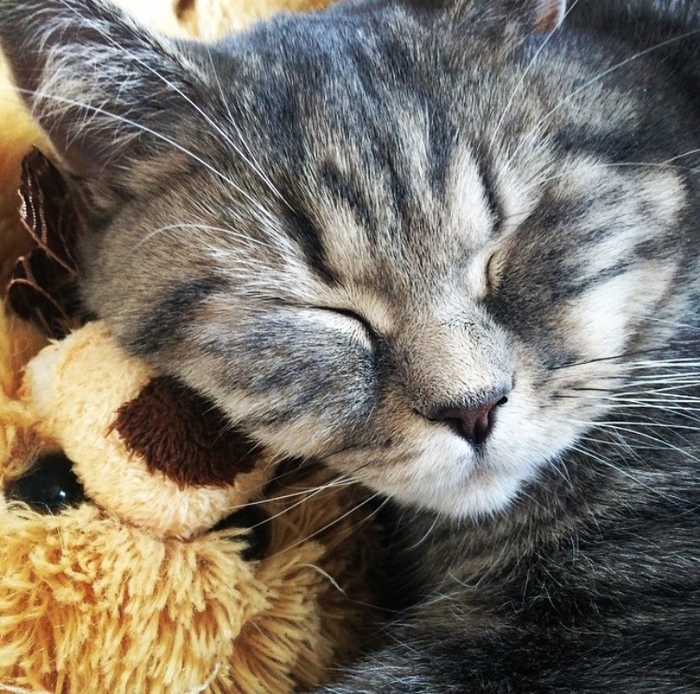 Просьба о помощи