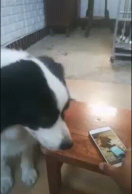 1538502767128452655.gif