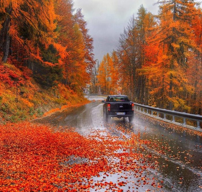 Autumn road - Autumn, Autumn mood, The photo, From the network