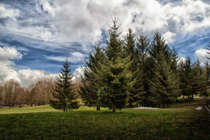 Montenegro. Lovcen. - , Longpost, First post, My, Montenegro, Photographer, Travels, The photo