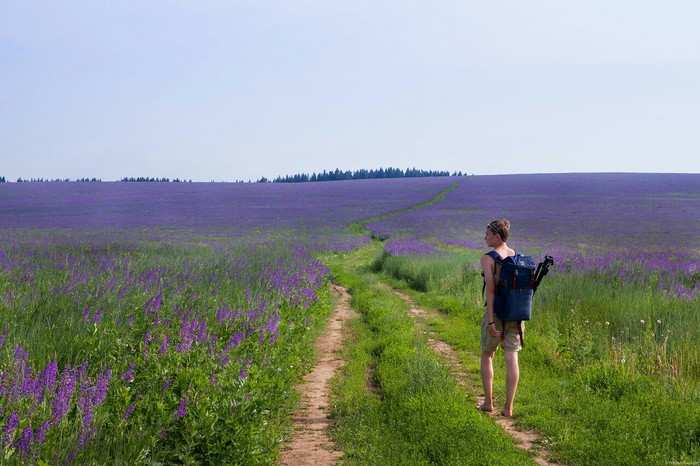 Why not Provence?! - My, Perm Territory, Ural, Nature, Summer, The national geographic, Road, The photo, Person