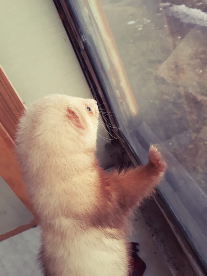 ������...