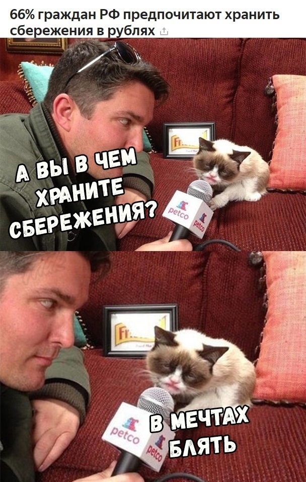 Savings of the Russians - Saving, Ruble, Earbuds, cat