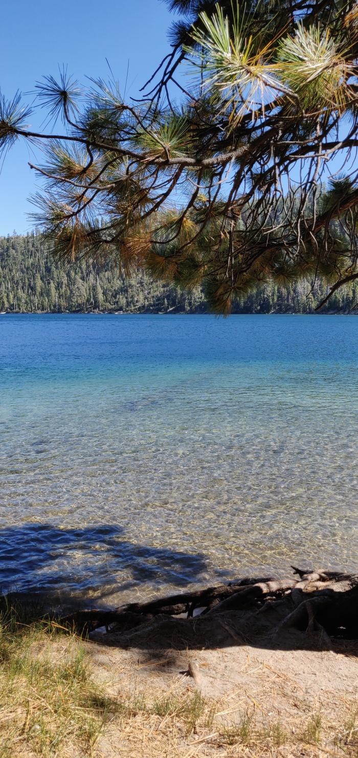 Lake Tahoe  , , Oneplus6