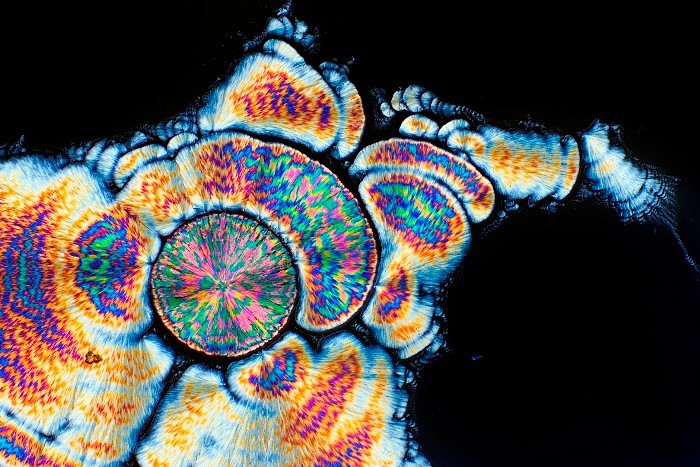 The beauty of vitamin C under the microscope - Longpost, Vitamin C, beauty, Microscope