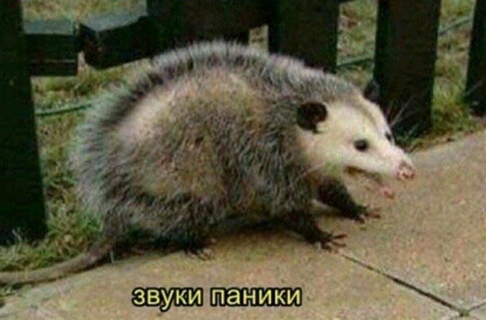 ����� � ���� ����������� ��������� -.-