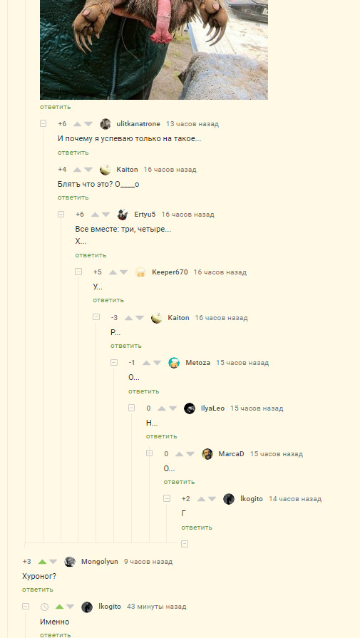 Pikabu . ,   , 