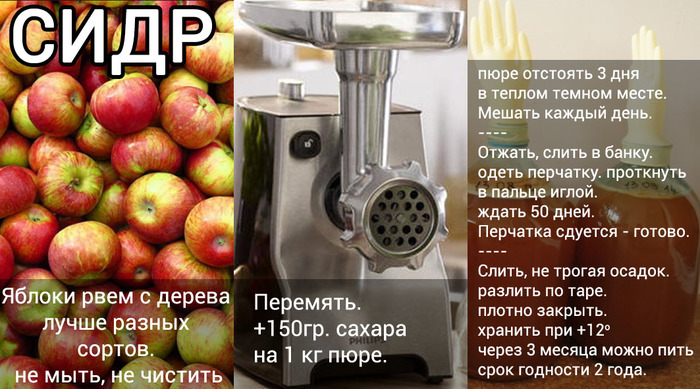 СидÑ. РеÑÐµÐ¿Ñ Ð² одной каÑÑинке. ÐоÑоÑко и ÑÑно. СидÑ, ÐоÑовка, РеÑепÑ