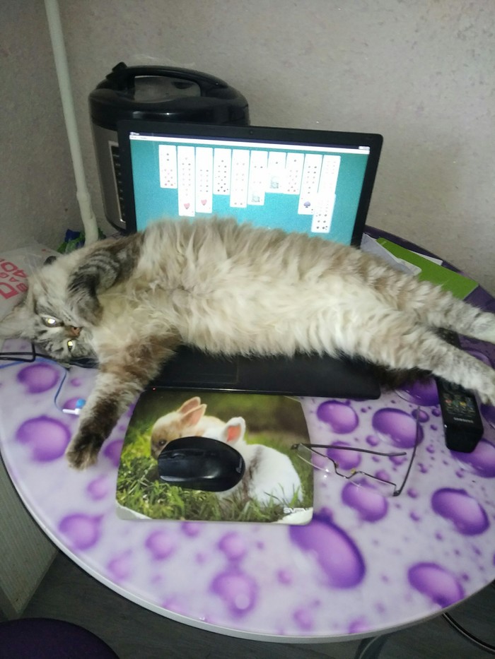   , 