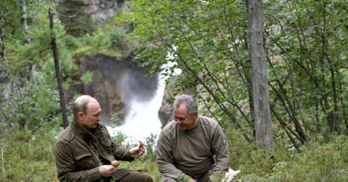 Президент В Тайге Фото