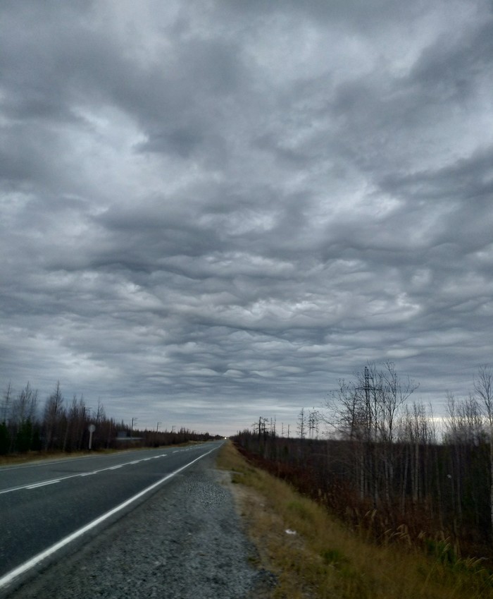 The winter is coming - My, YaNAO, Road, Sky