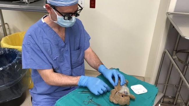 A neurosurgeon in Canada operated on a little boy and his teddy bear - Canada, Milota, Longpost, Neurosurgery, Operation, Doctors, Positive