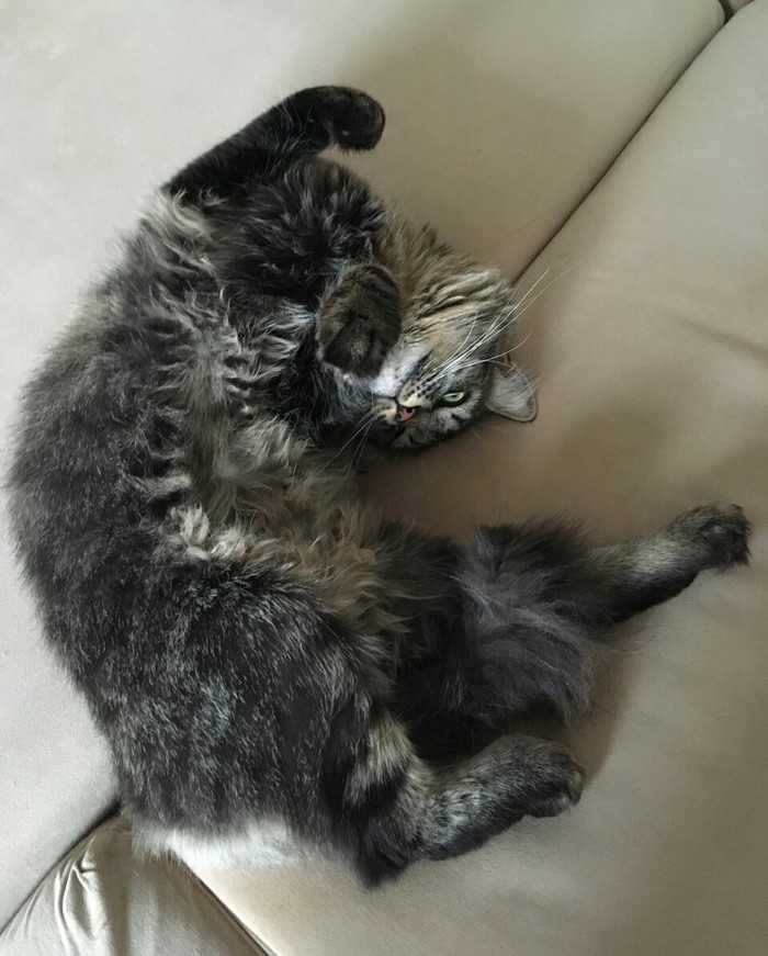     , , , , 