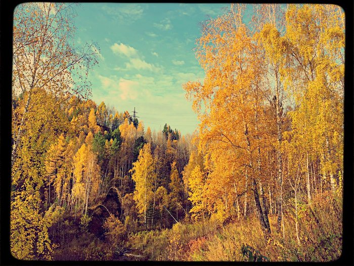 Золотая осень. Где-то под Красноярском