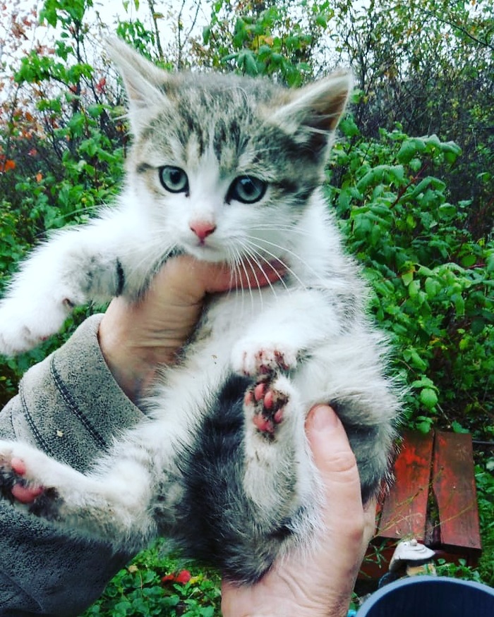 ������ ���� ���!