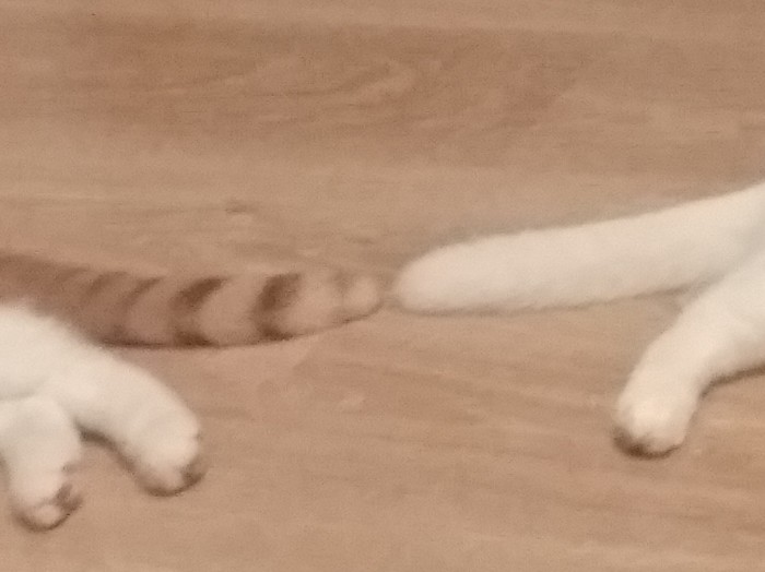   , , , 